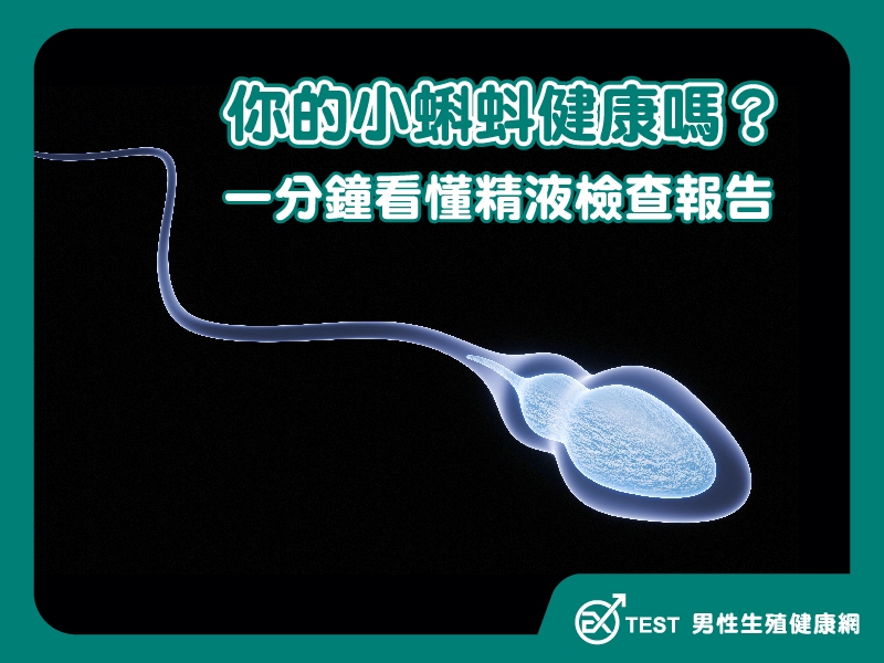 你的小蝌蚪健康嗎？一分鐘教你看懂精液檢查報告