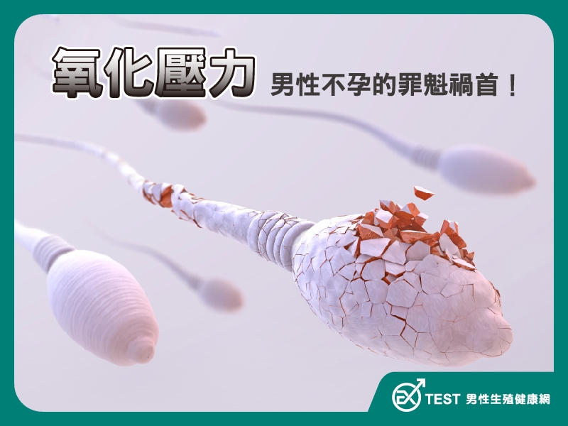 氧化壓力 - 男性不孕和精蟲品質的隱形殺手！