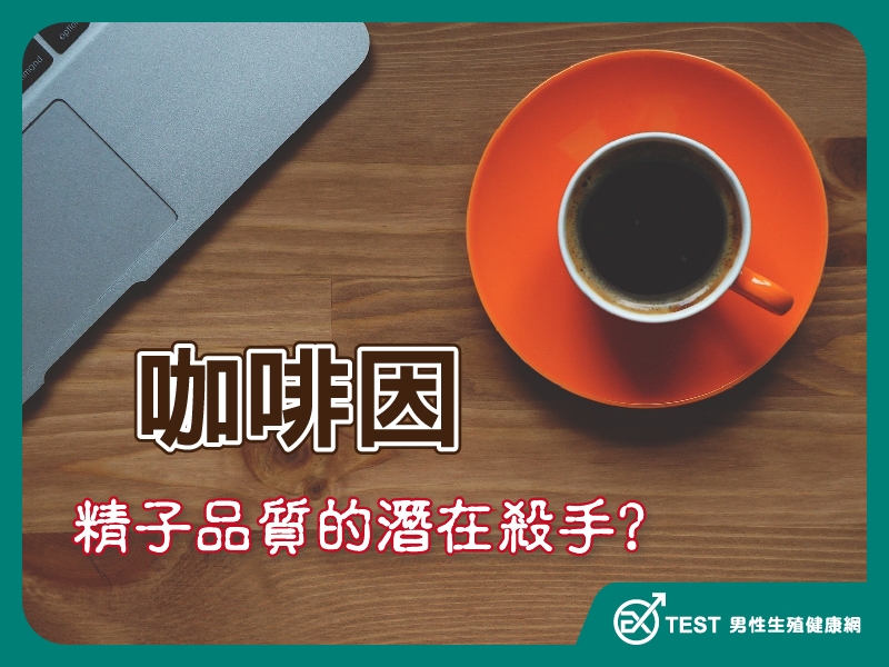咖啡喝太多讓你「精」神不佳 !? 探討咖啡因對影響精子品質的影響