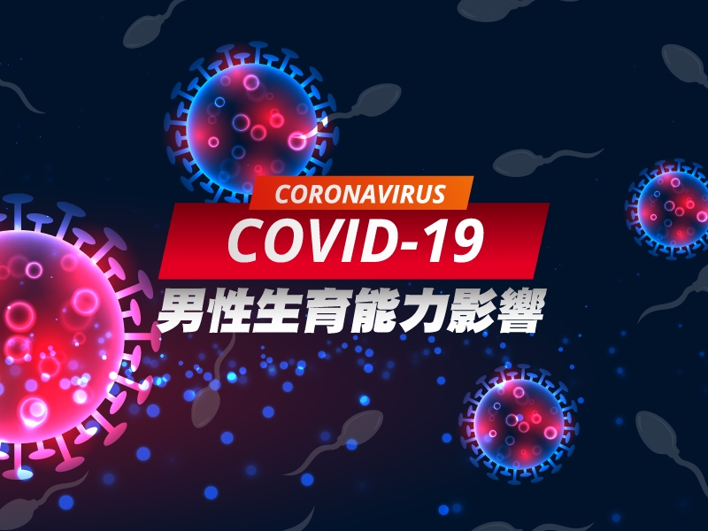 新冠病毒 COVID-19 對男性精子品質的影響