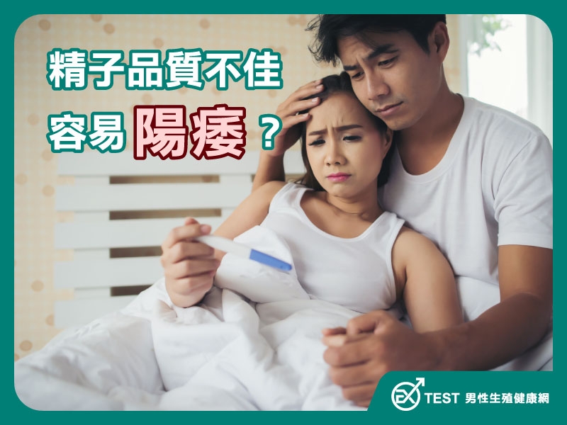 精子品質不好的男性容易陽痿？醫學研究揭開驚人的關聯性！