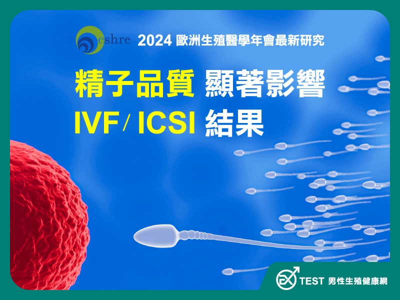 2024 歐洲生殖醫學年會最新研究（一）：精子品質對試管嬰兒 IVF / ICSI 週期累積活產和新生兒結局的影響