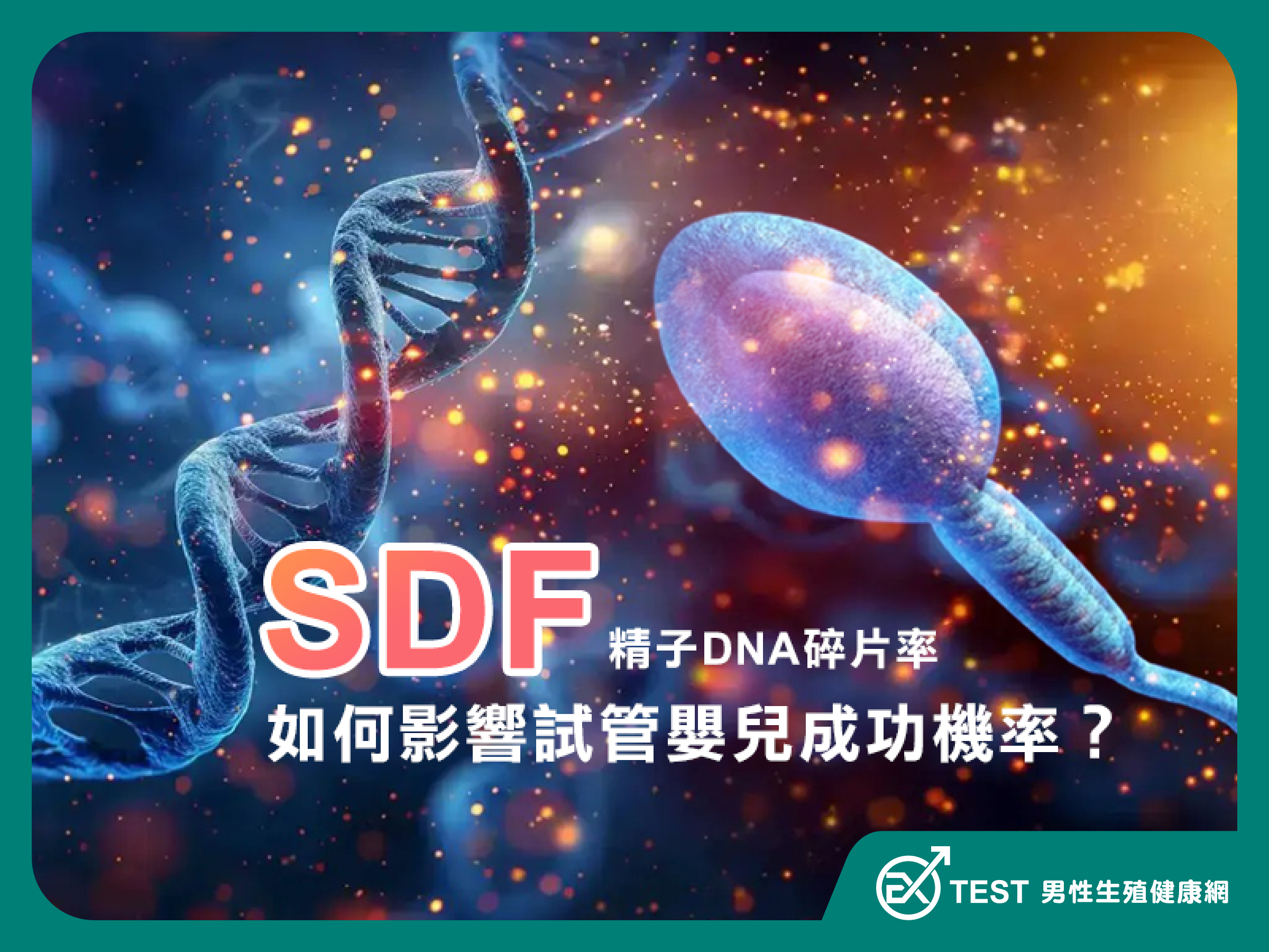 DNA碎片率揭秘：SDF如何影響試管嬰兒成功機率？