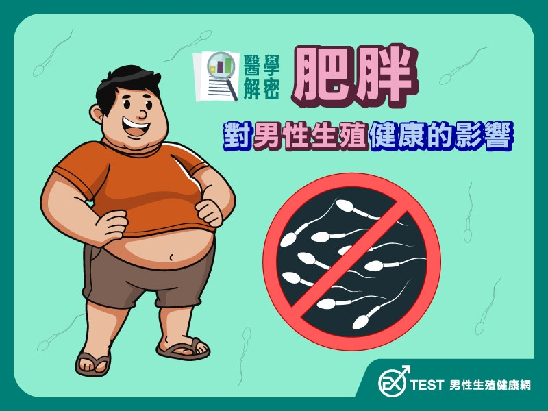 醫學解密！肥胖對男性生殖健康的影響